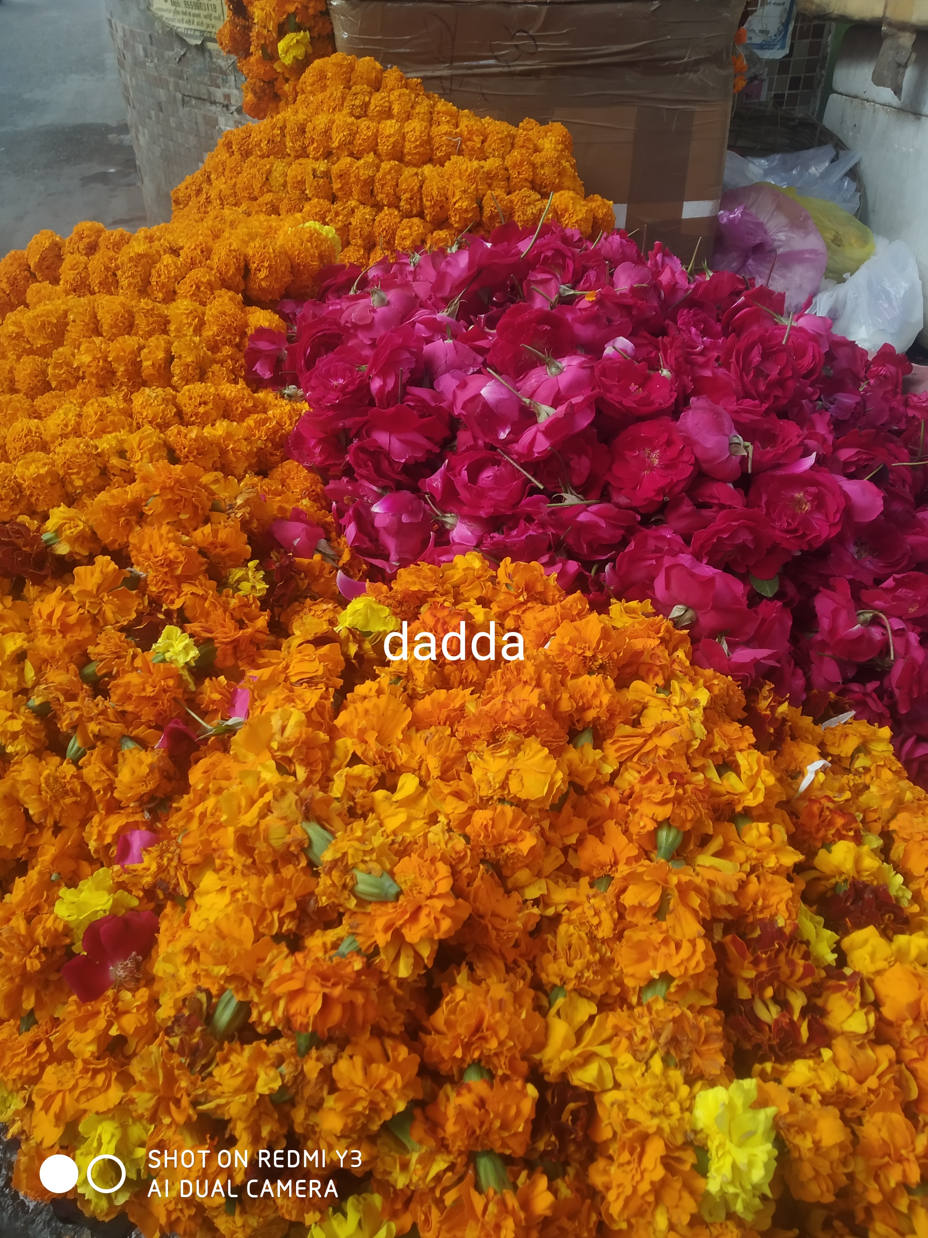 DADDA, FLOWERS, SHAHAMAT GANJ